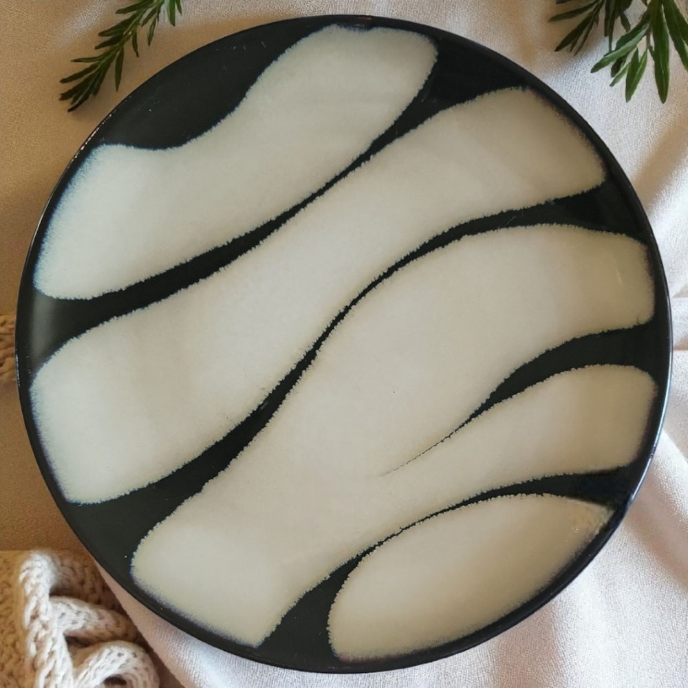Vtg 2010 - 2014 Zebra Pier 1 Bread & Butter Plate Stoneware